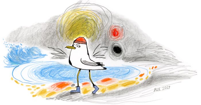 Illustration, gull with hat and boots walking on beach