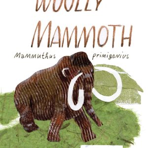 Illustrated cover, woolly mammoth zine